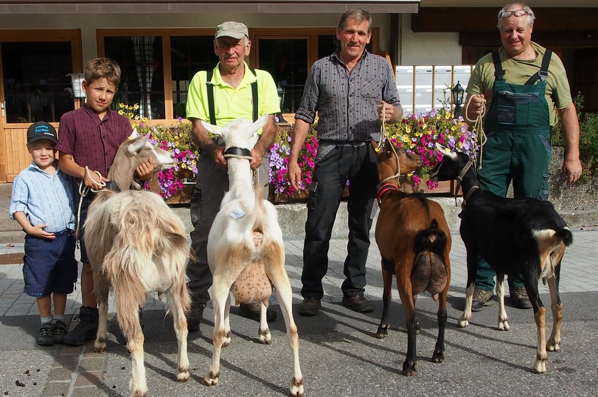 Stolze Züchter mit ihren Missen: Nick und Lukas Bühler mit Anja, Martin Zurbrügg mit Sina, Hansueli Klopfenstein mit Jeny sowie Walter Gobeli mit Regi.