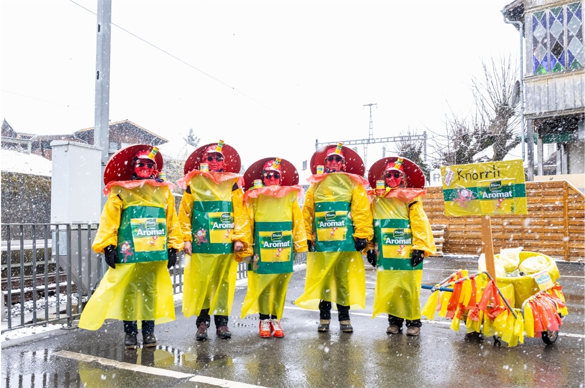Sujets der Diemtigtaler Fasnacht 2026: Kreative, farbenfrohe Umsetzungen entlang...
