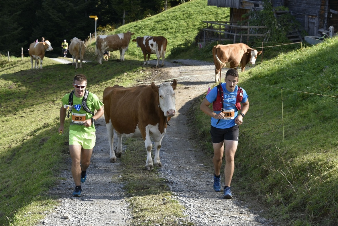 Tim Lüthi (282) und Rémy Jobin (281) im Fermeltal unterwegs.