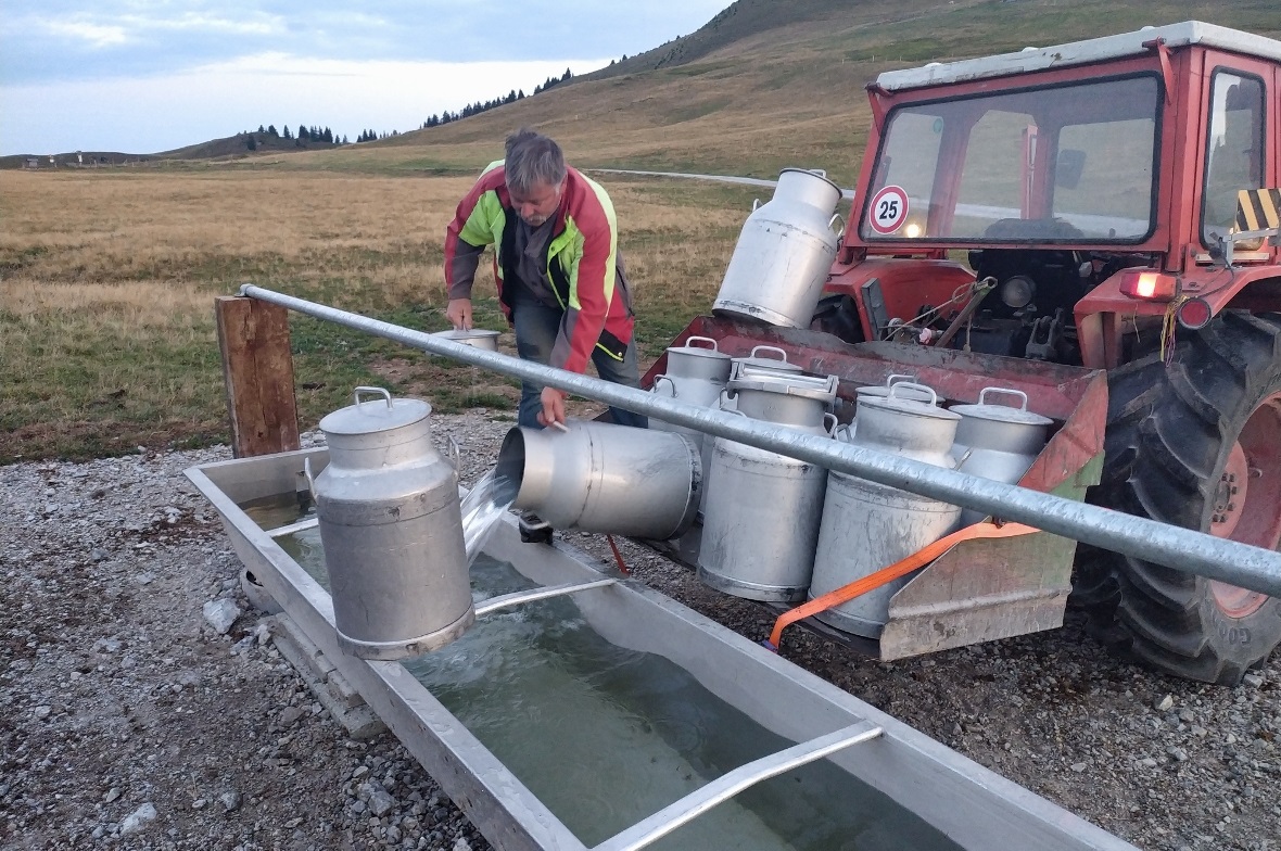 Toni Bühler aus Mannried füllt täglich 2000 Liter Wasser an sechs verschiedenen «Trechistellen» für das Vieh ein.
