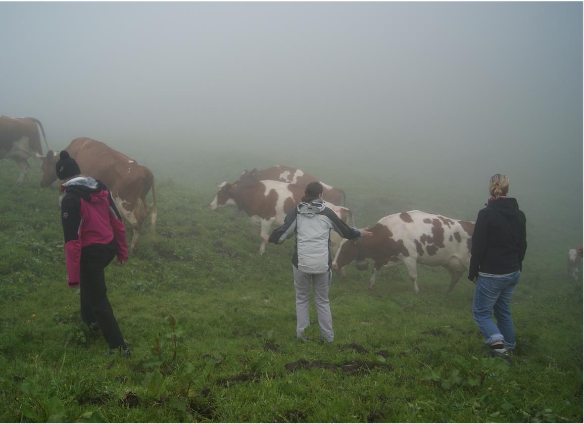 Touristikerinnen für einmal als Kuhtreiberinnen bei Nieselregen und im dichtem Nebel.