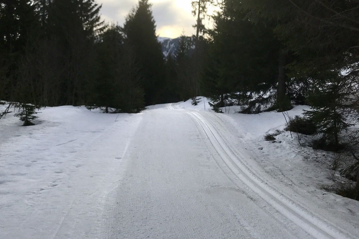 Trainingsschnappschuss am 21. April 2019, um 8.05 Uhr.