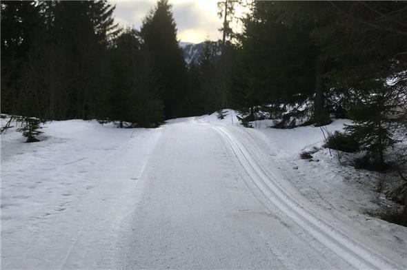 Trainingsschnappschuss am 21. April 2019, um 8.05 Uhr.