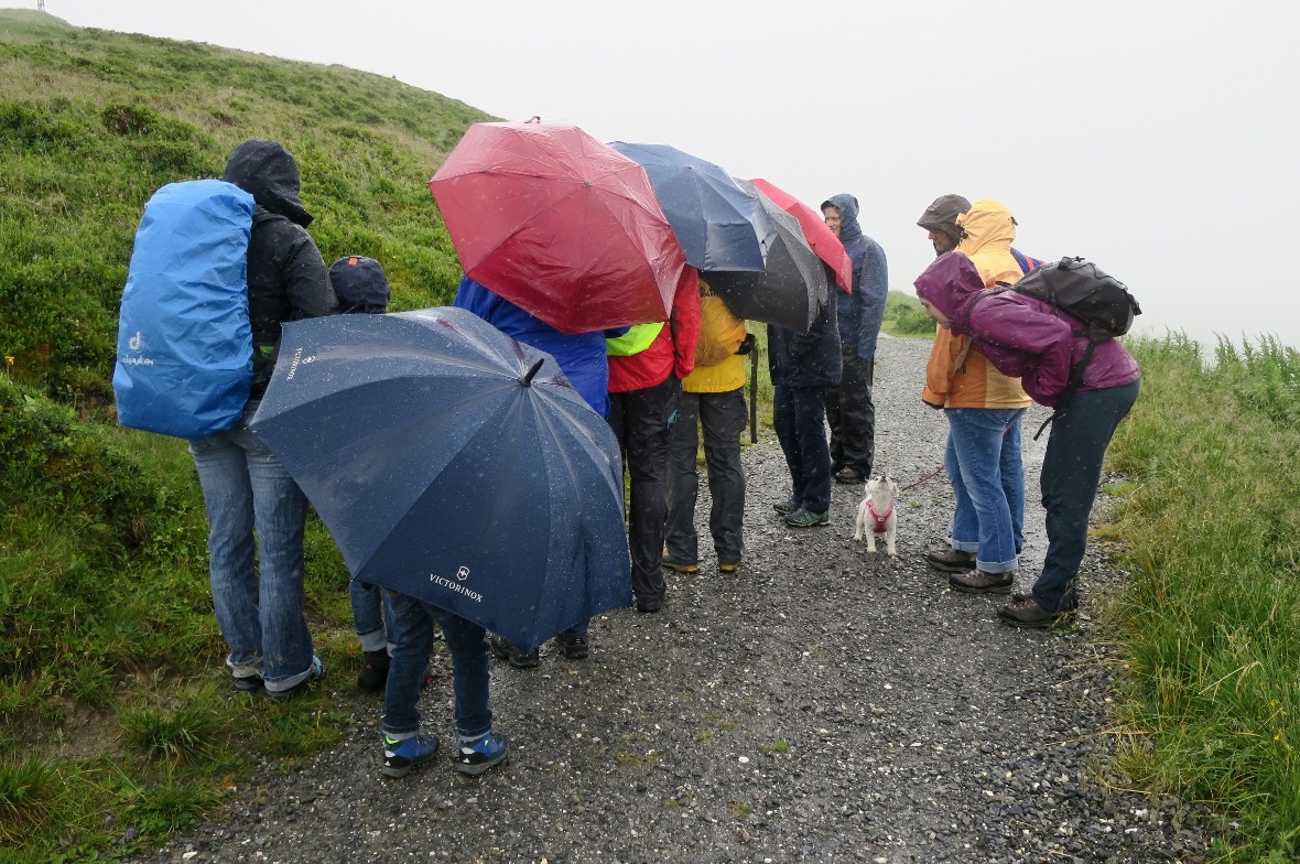 Trotz Regen hört die Gruppe interessiert zu.