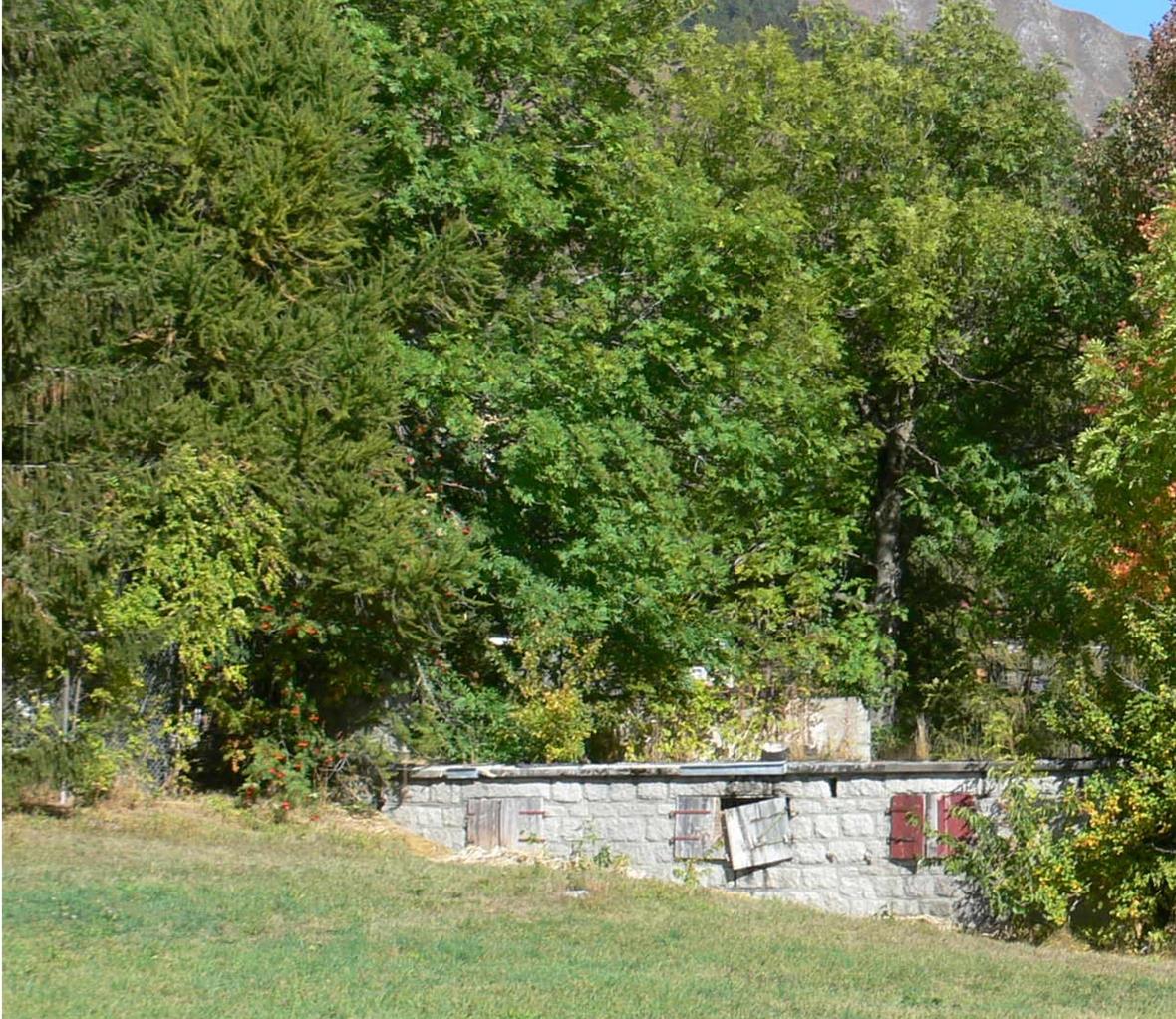 Über 200 Jahre kam vorher keine Lawine mehr bis ins Dorf Reckingen. Wie ein Mahnmal erinnert diese überwachsene Ruine eines damals verschütteten Wohnhauses an die Naturkatastrophe.