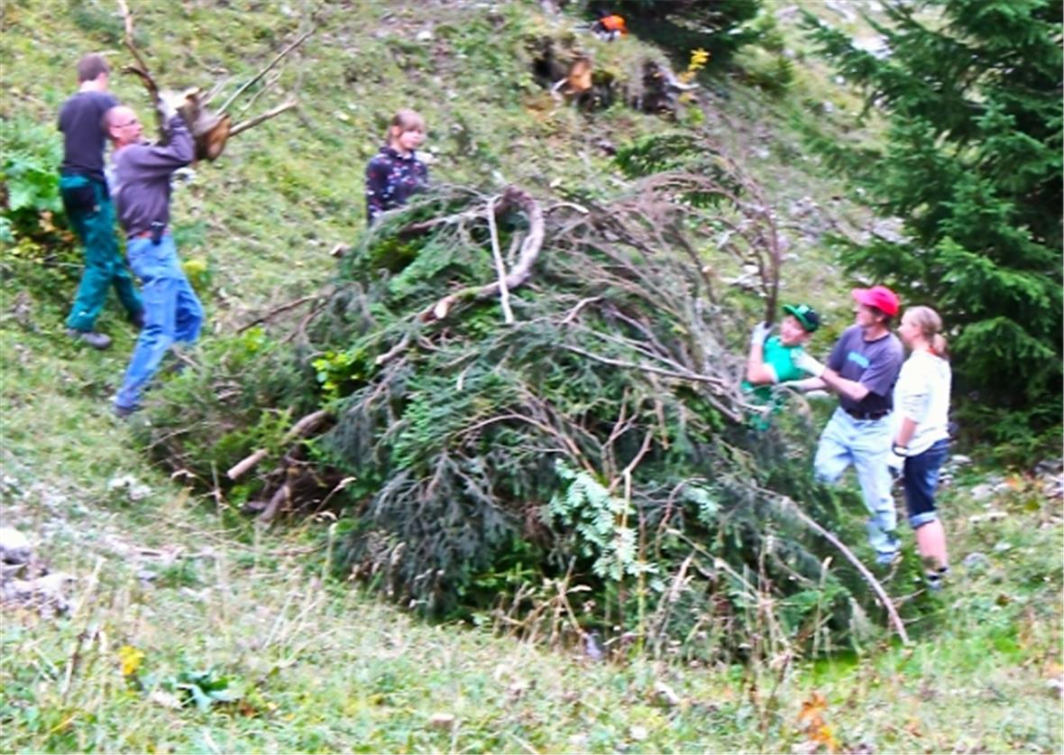 Über einem Lesesteinhaufen türmt sich ein Berg von Ästen und Büschen.