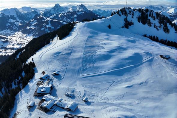 Übersichtsbild der Unfallstelle auf dem Hornberg.