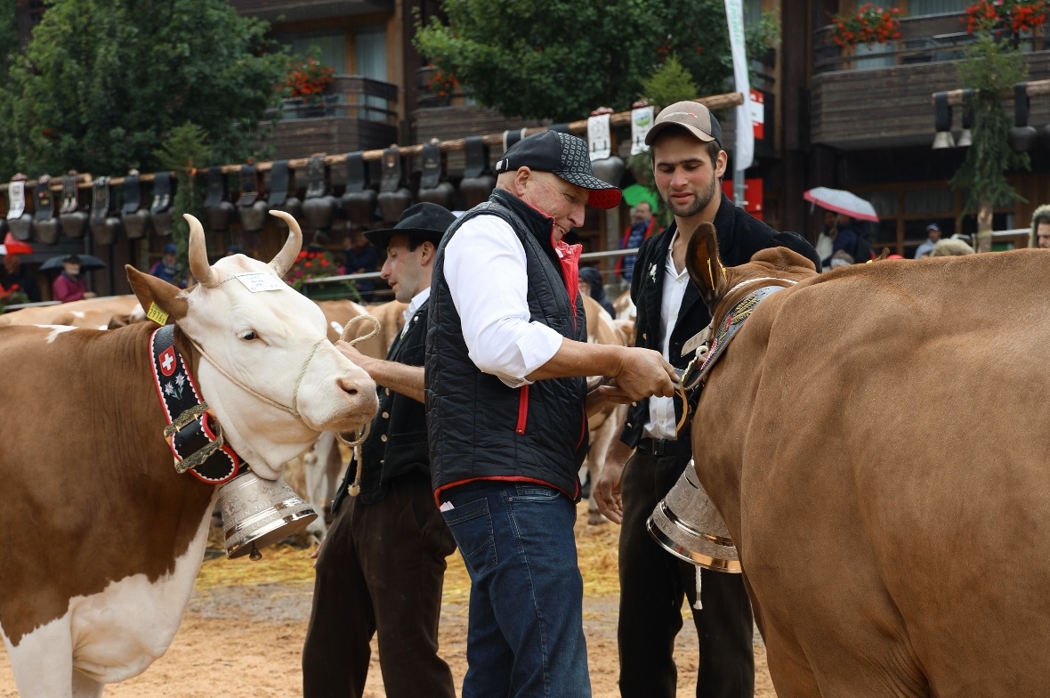 Ueli Bach aus Turbach krönt die Miss für höchste Milchleistung und die Miss Prot...