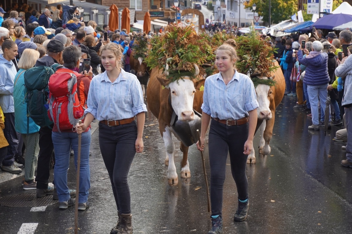 Unbestritten das Fotosujet Nummer eins bei den Besuchern. Die Zügleten der Lenke...