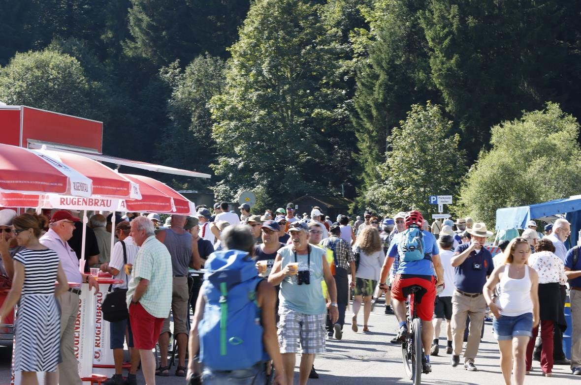 Und sie kommen in Scharen.