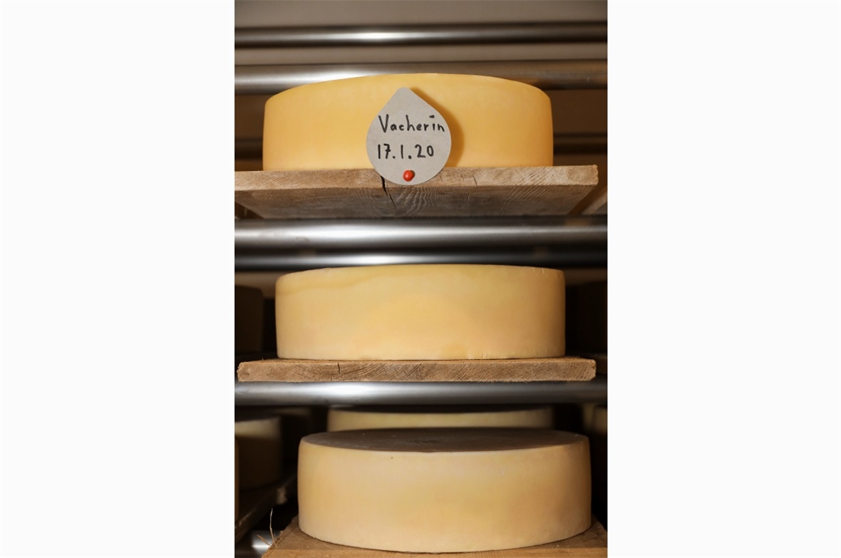Vacherin der Lenk Milch AG im Reifekeller.