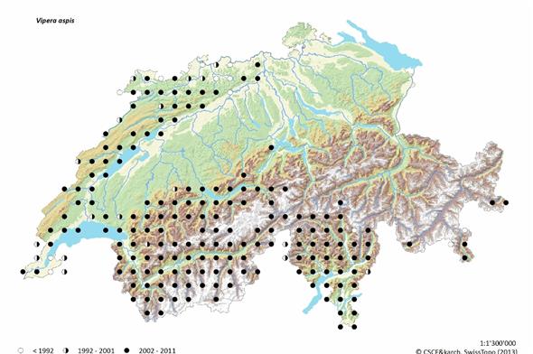 Verbreitungsgebiet der Vipera Aspis in der Schweiz.