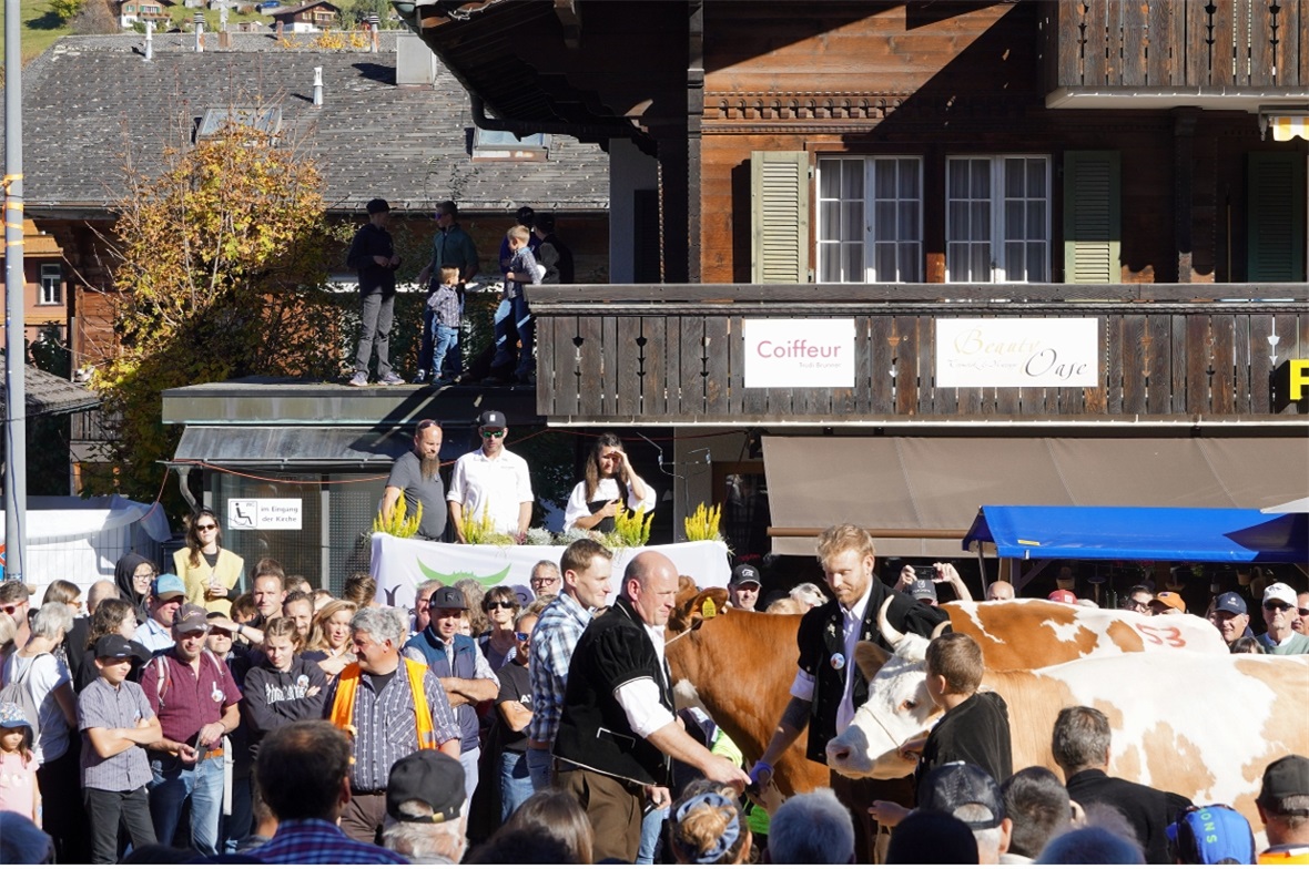 Viehschauexperte Christian Bürki mit den Rassenmissen „Happy“ und „Königin“ (vor...