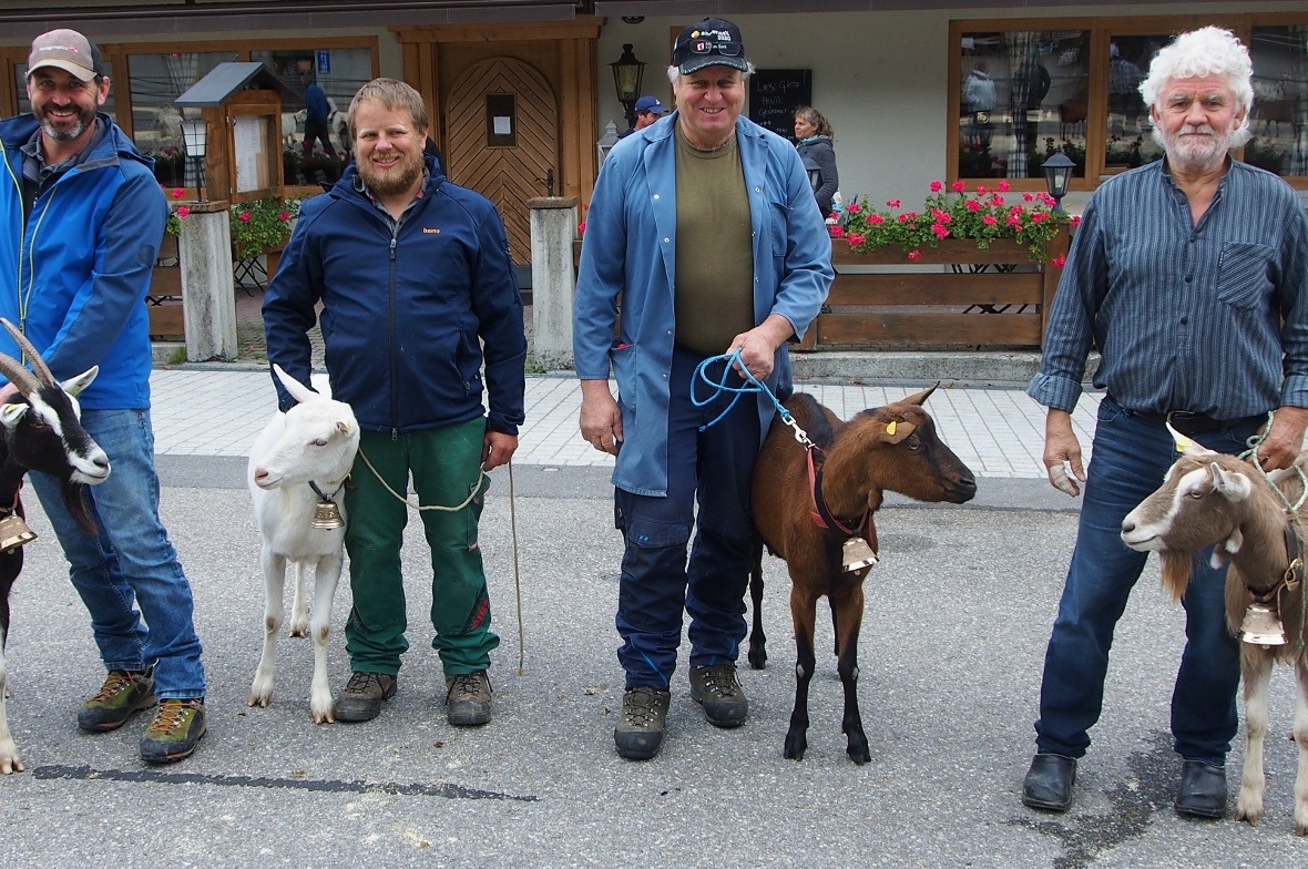 Lenk war einmal mehr das «Mekka der Ziegen» Vier «Missen» mit ihren stolzen Besitzern an der Herbstziegenschau.