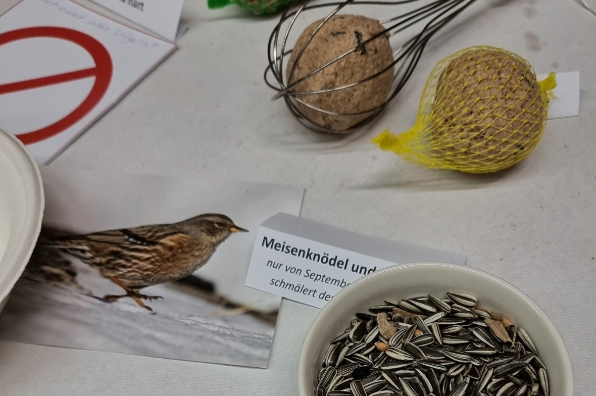Vögel können die Füssen in den Plastnetzen der Meisenknödel verheddern. Myrta Wü...