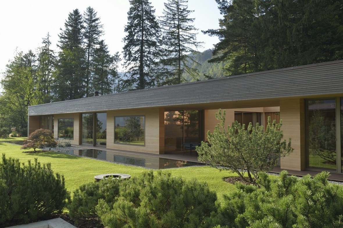 Wald- und Holzwirtschaft im Kanton Bern: Virus versus Käfer