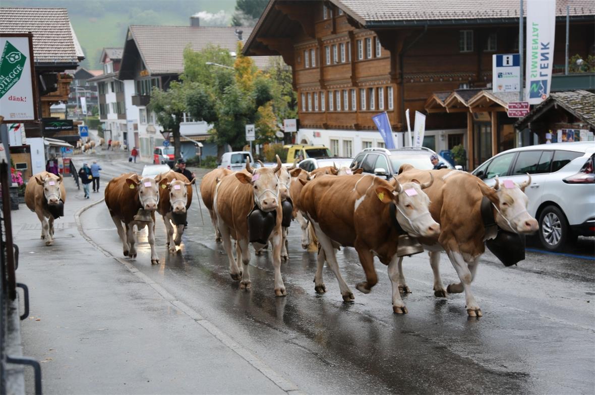Von allen Seiten kommen die Bauern mit ihren Herden.
