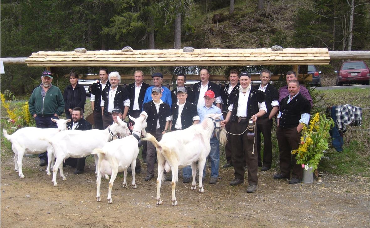 Von links, Miss Schöneuter, Vizemiss, Miss und Mister Bock und alle Mitglieder mit Experten.