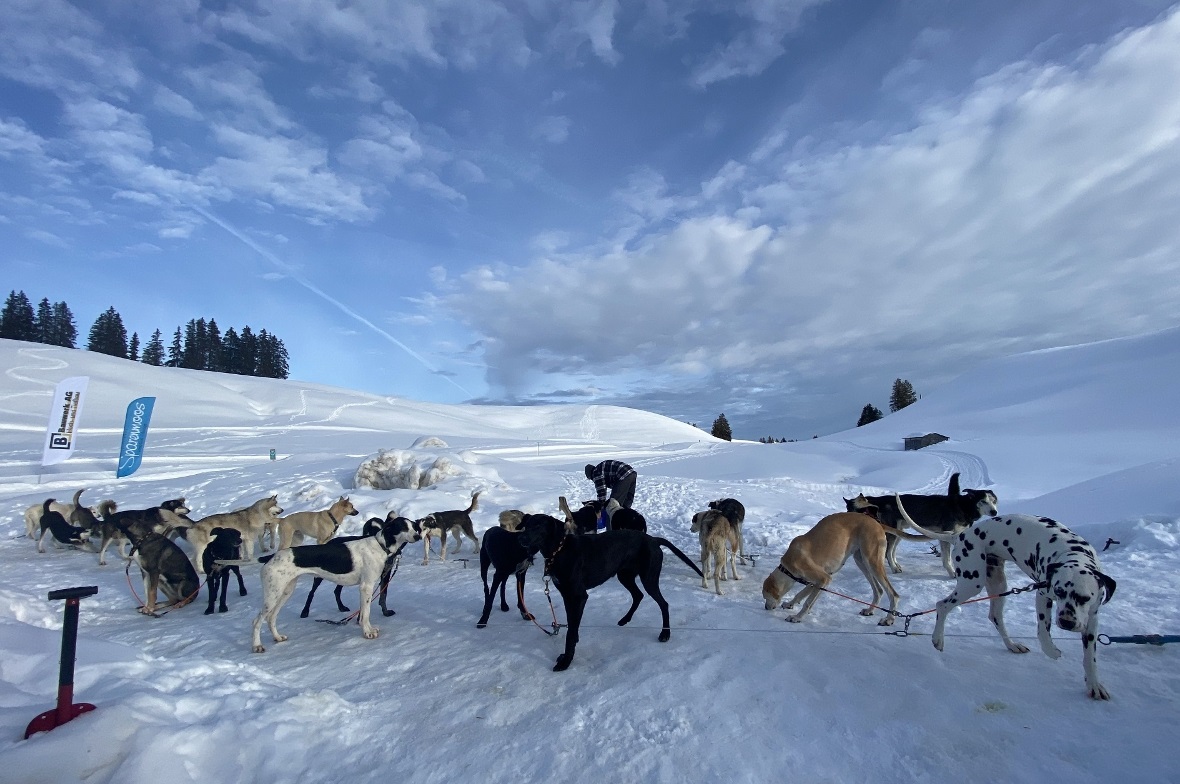 Vor dem Frühstück.