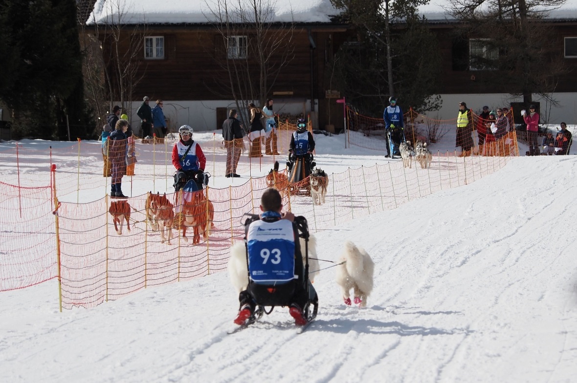 Während das Gespann startet, kommen bereits drei andere zurück ins Ziel.