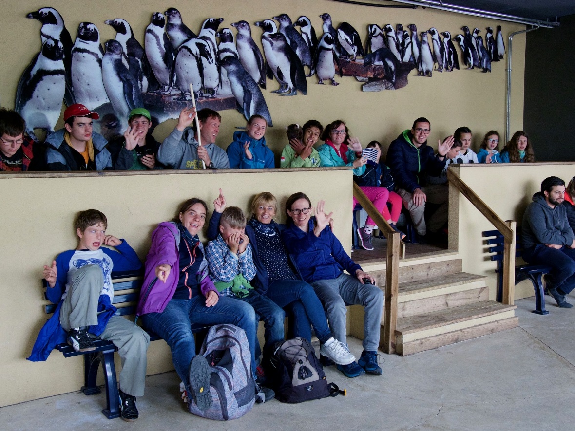 Während der Pinguinfütterung im Zoo.