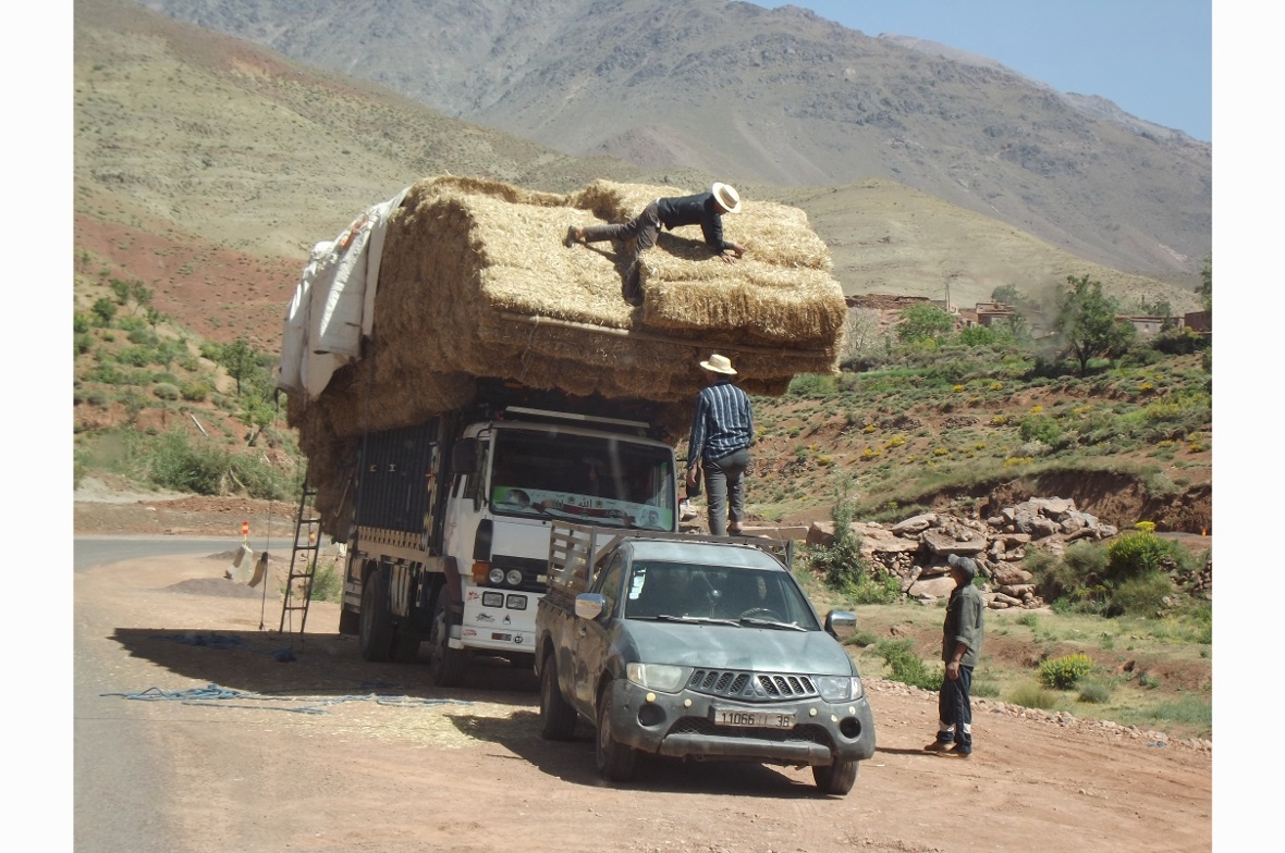 Wäre das in der Schweiz erlaubt?