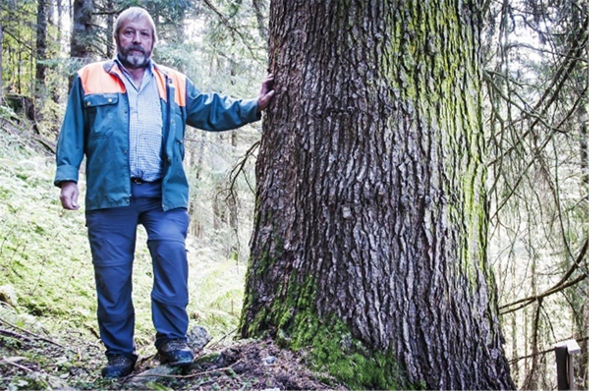 Waldpräsident der Bäuert Boltigen, Heinz Burri, Entdecker der altehrwürdigen Wei...