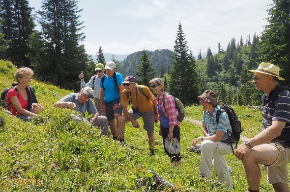 Wanderleiter Ernst Zbären, alias Kassier von «Pro Simmental», wusste immer wieder mit seinem enormen Wissen von Flora und Geologie dieses Gebietes zu erzählen.