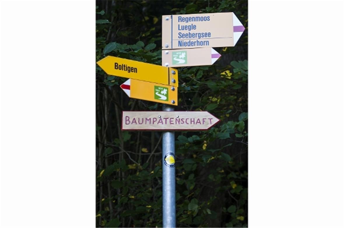 Wegweiser weisen Interessierten den Weg zu den geschützten Weisstannen. Gutes Sc...