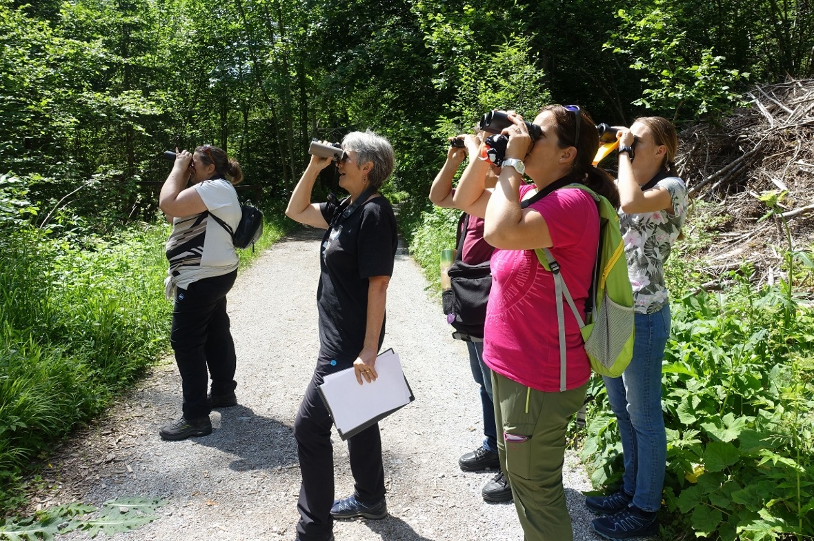 Wer findet die Spechthöhlen? Gemeinsames Beobachten durch die Interessierten auf der Vogelpirsch mit Myrta Wüthrich (Zweite von links) im Schlegelholz.