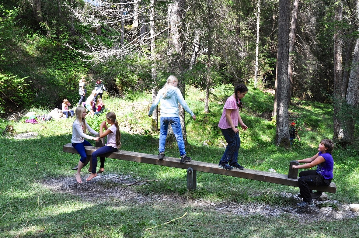 Wer hat hier wohl den besten Gleichgewichtssinn?