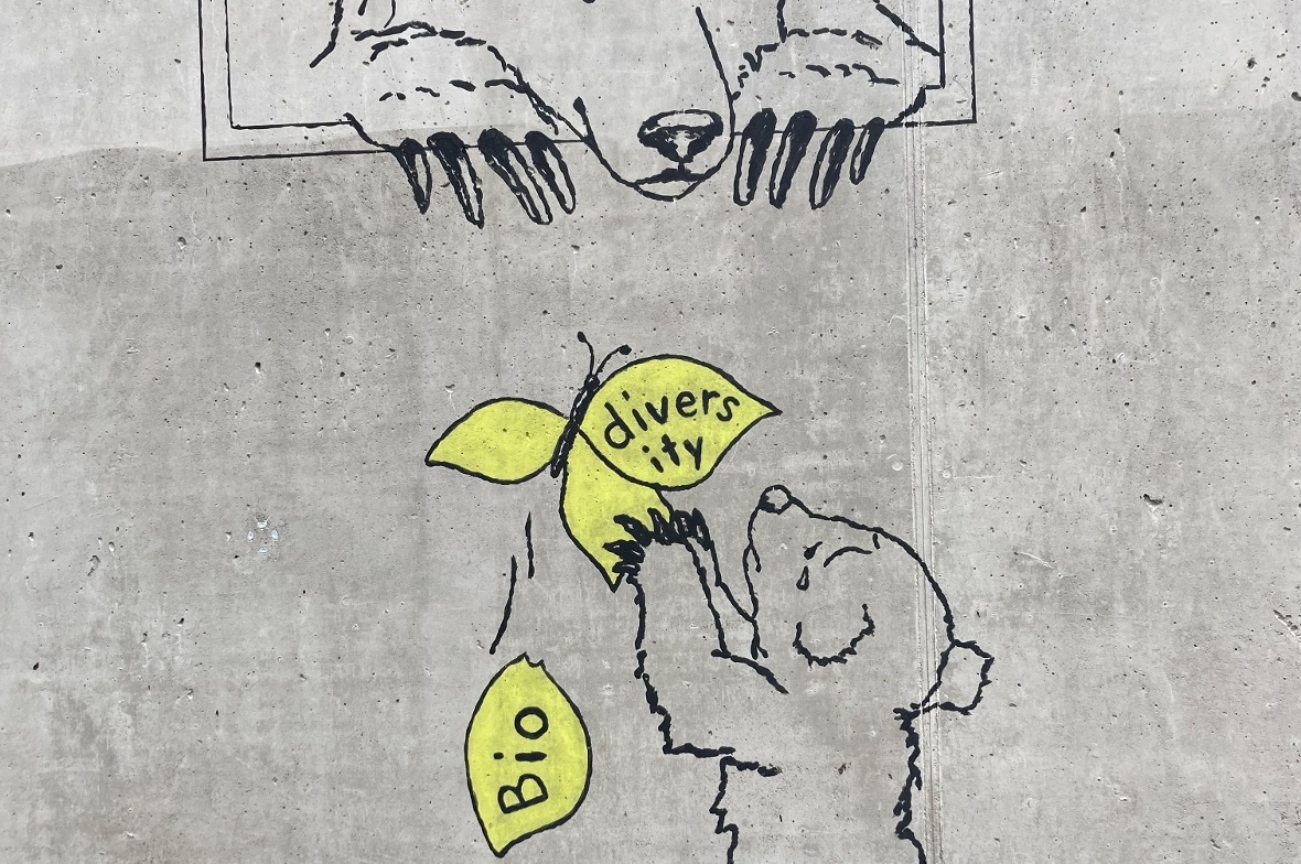 Es ist der Lenker Künstler Pascal Baur Wie Banksy hat Pascal Baur sein erstes Wandbild nachts gemalt und mit Herzblut die Botschaft «Biodiversity» integriert.