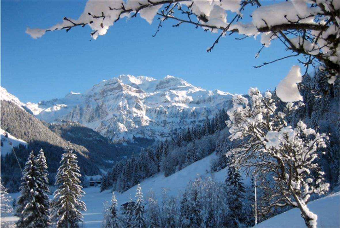 Das Schönste von vielen schönen Bildern Wildstrubel Jasmin Zeller, Lenk