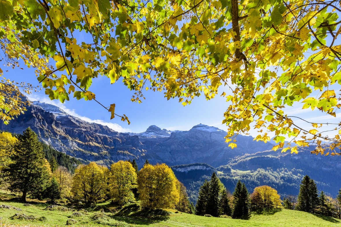 Wildstrubelmassiv im Herbst.