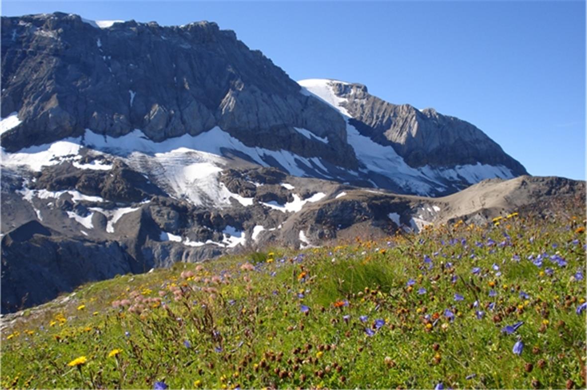 Wildstubel beim Abstieg vom Ammertenspitz. Foto: Markus Rieder, Wilderswil 