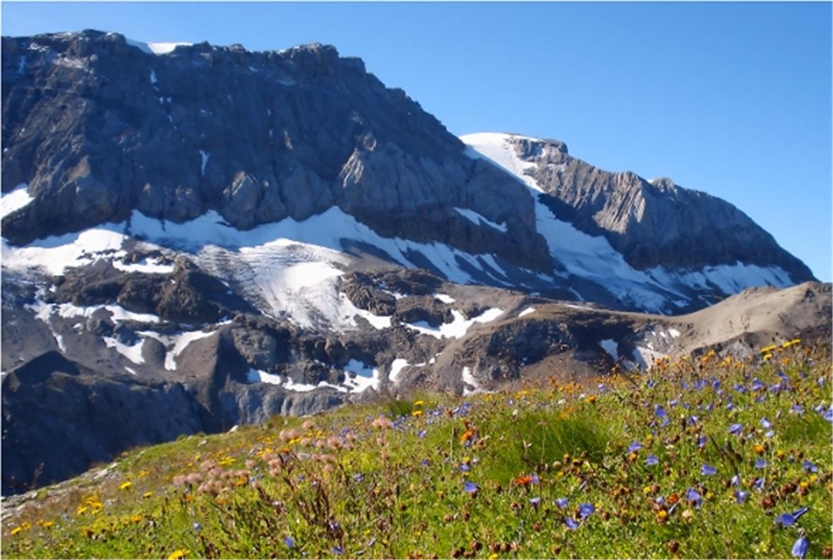 Das Schönste von vielen schönen Bildern Wildstubel beim Abstieg vom Ammertenspitz. Markus Rieder, Wilderswil