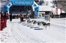 Zehn Hundeschlitten am Start 2013.