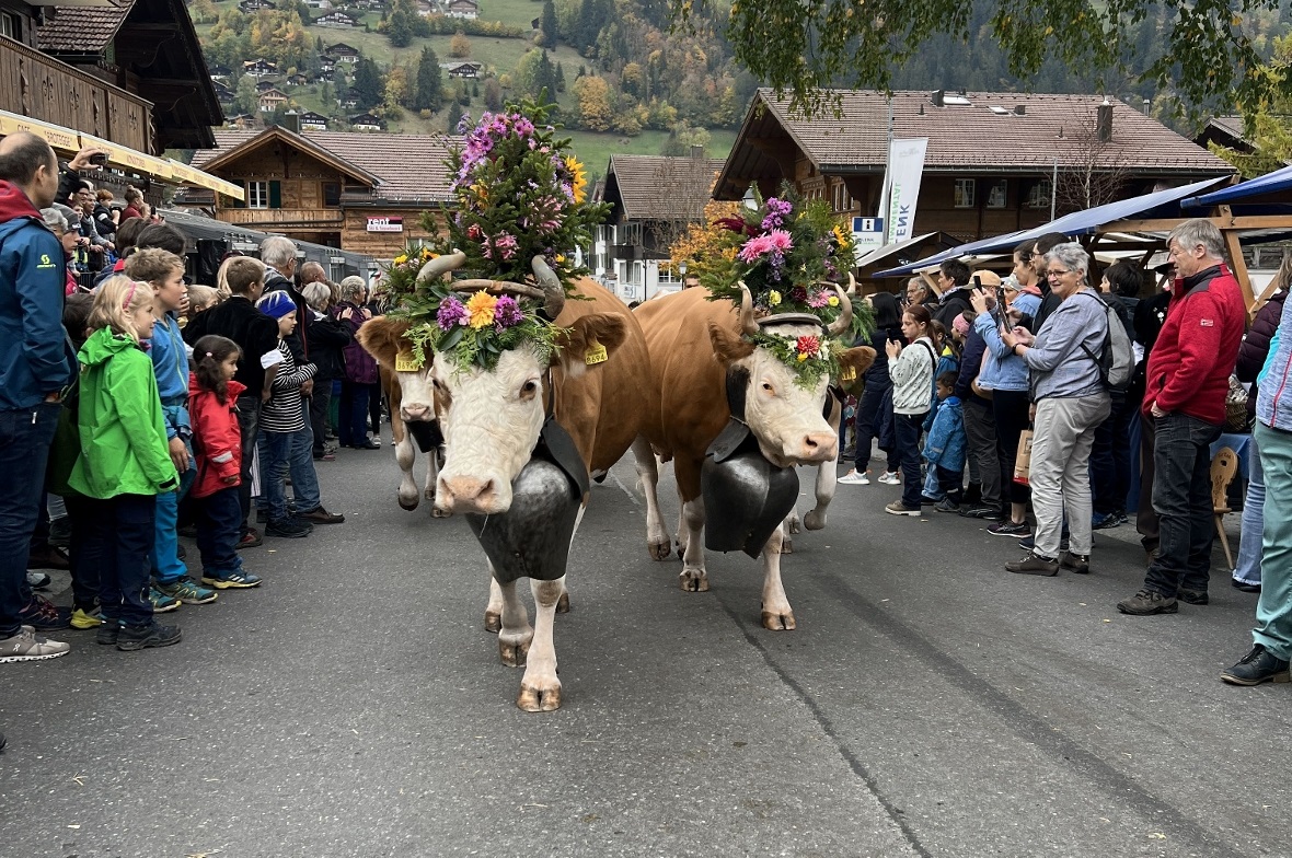 Züglete Familie Peter Zimmermann.