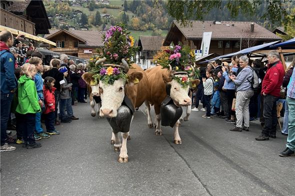 Züglete Familie Peter Zimmermann.