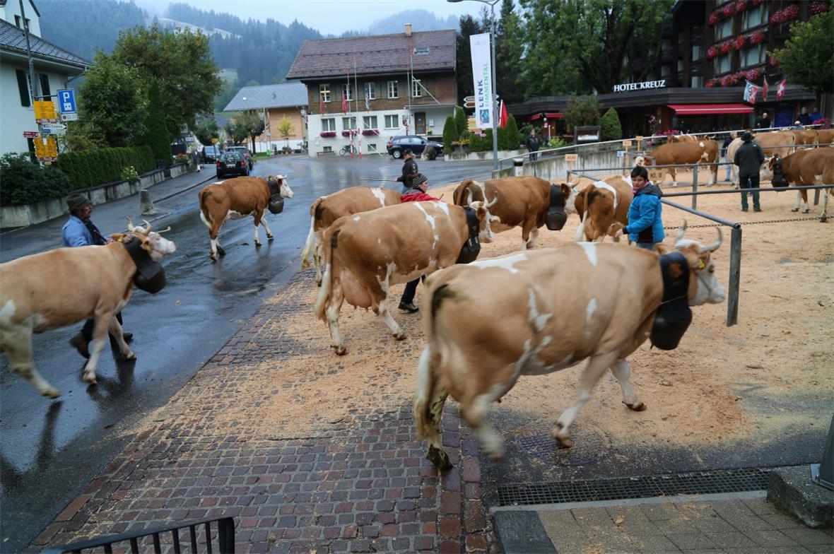 Zuerst werden sie nach Alter eingeteilt.