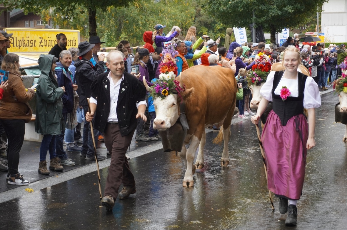 Zufriedene Gesichter beim Publikum und den Bauernfamilien. Die Zügleten waren die Hauptattraktion am Älplerfest.