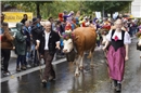 Zufriedene Gesichter beim Publikum und den Bauernfamilien. Die Zügleten waren di...
