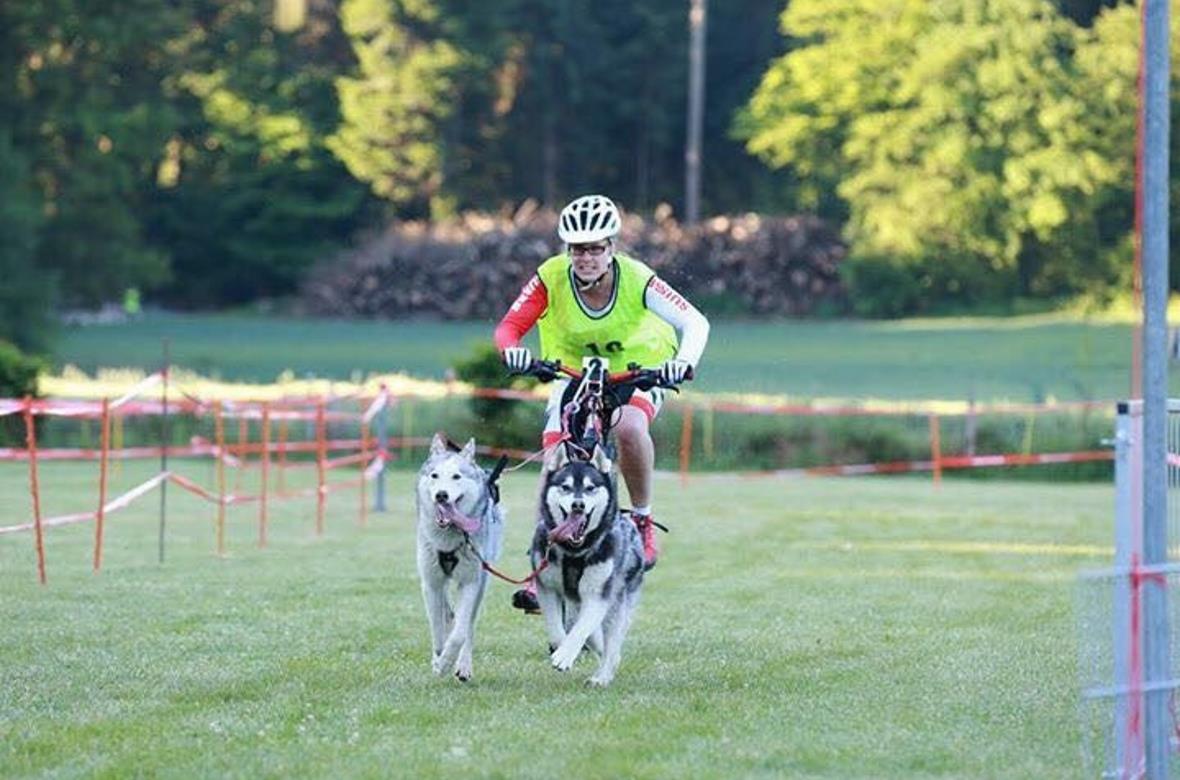 Zwei Schlittenhunde am Bike mit Vivienne Décorvet