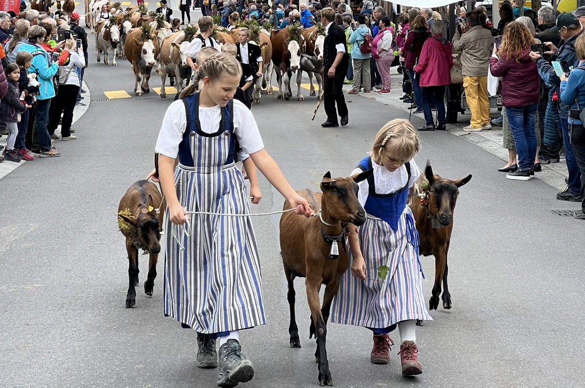 kurze Showeinlage mit Geissen.