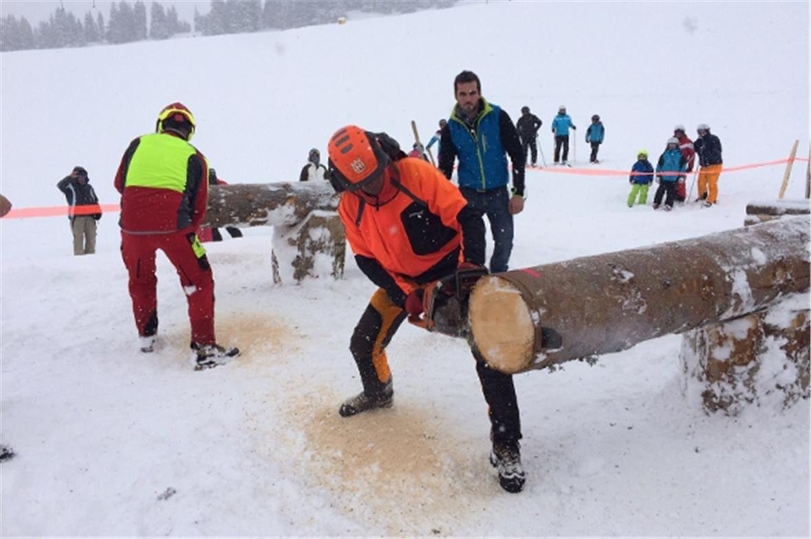 …oder mit der Motorsäge  in voller Aktion.