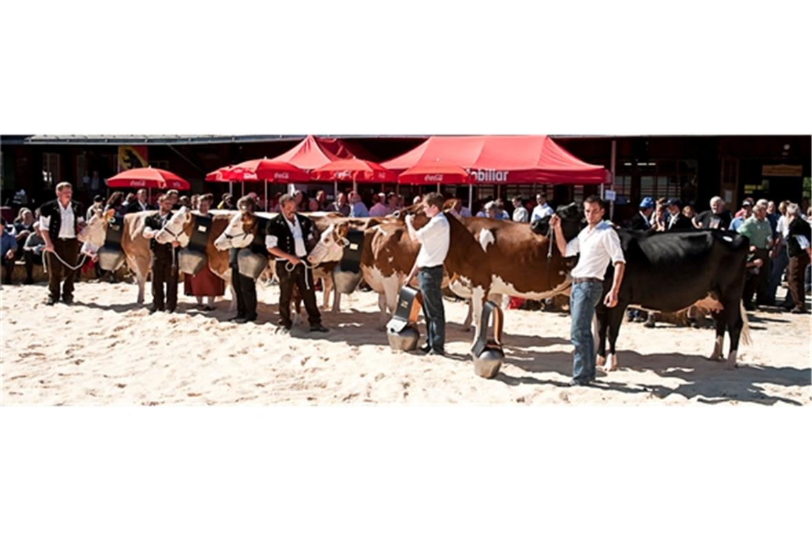 v.l.n.r. Flamme, Miss SI (Adrian Rieder, St. Stephan); Marisa, Miss Schöneuter S...