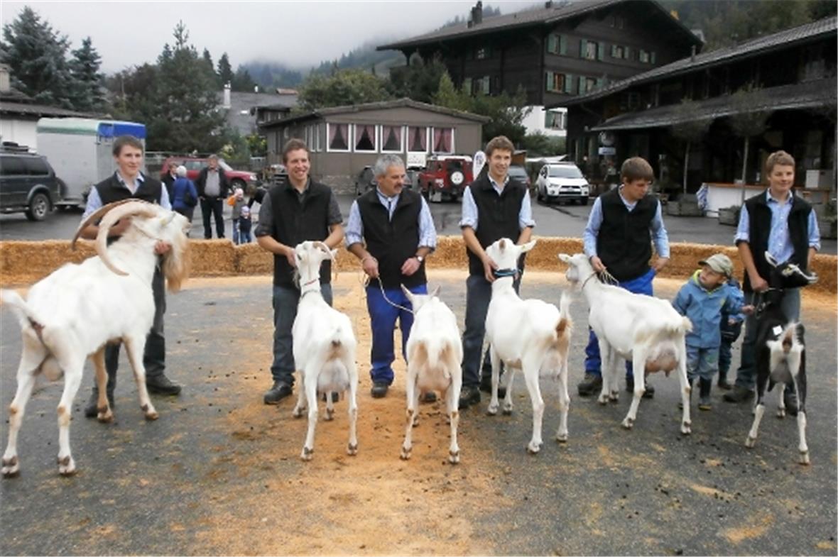 v.l.n.r. Mister Mannried: Kilian Eschler; Miss Mannried: Simon Eschler; Miss Schöneuter: Daniel Janzi; Vize-Miss Mannried: Daniel Eschler; Vize-Miss Schöneuter: Kurt Janzi; Miss Randrasse: Stephan Eggen.