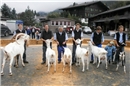 v.l.n.r. Mister Mannried: Kilian Eschler; Miss Mannried: Simon Eschler; Miss Sch...